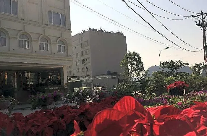 Park Hạ Long
