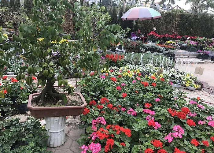 Park Khách sạn Hạ Long